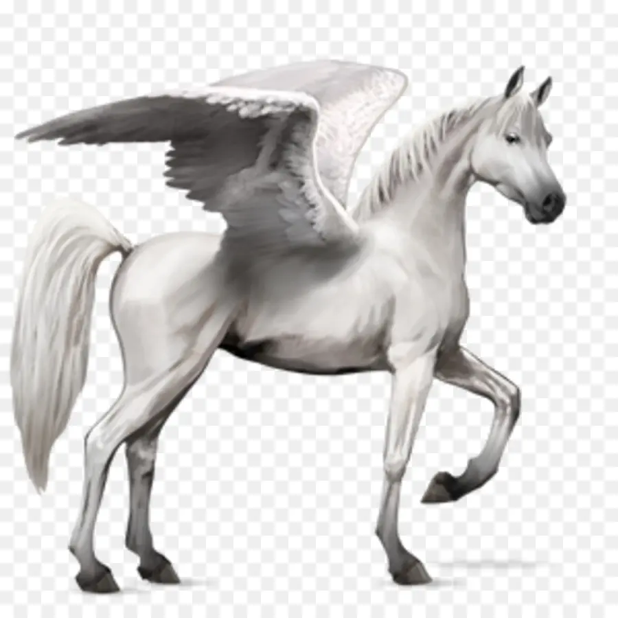 Pegaso，Caballo PNG