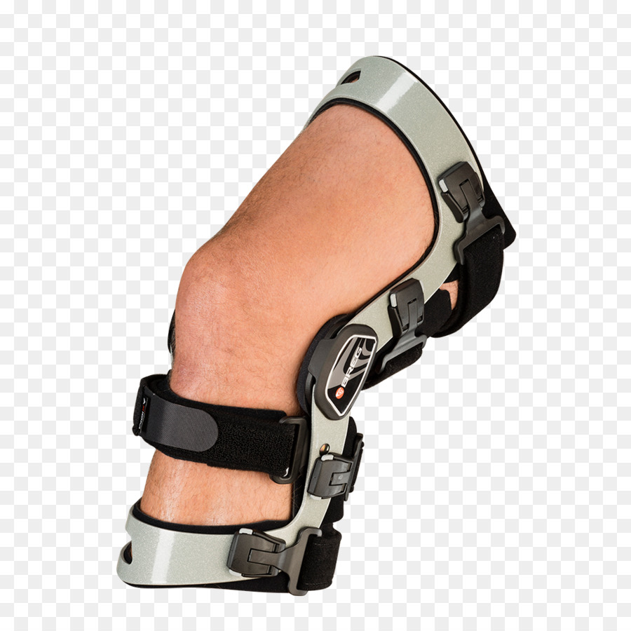 La Rodilla，Ligamento PNG