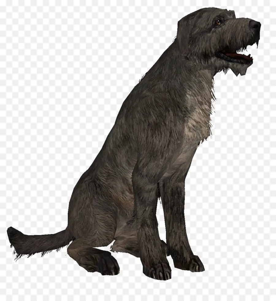 Raza De Perro，Elder Scrolls V Skyrim PNG