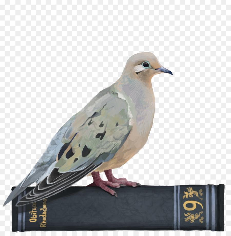 Hatoful Boyfriend，Homing Pigeon PNG