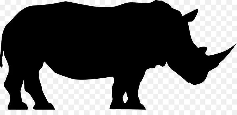 El Rinoceronte，Rinoceronte Negro PNG