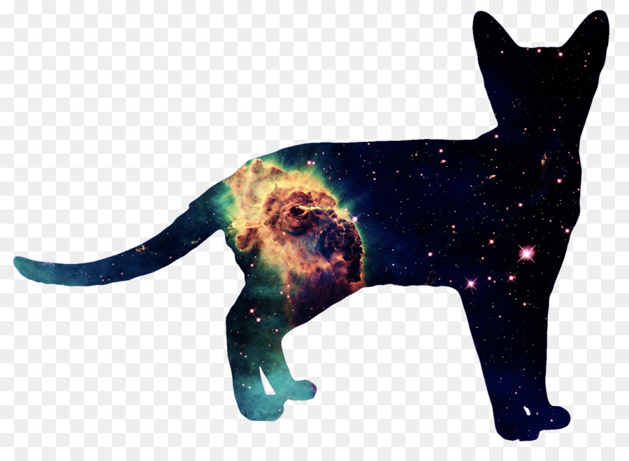 Gato，Perro PNG