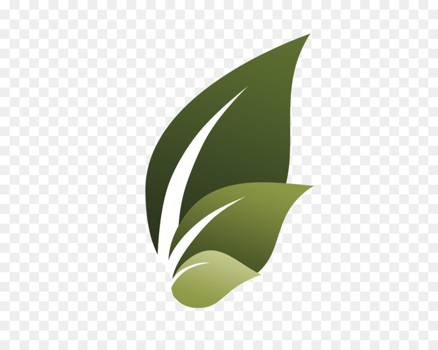 Hoja，Planta PNG