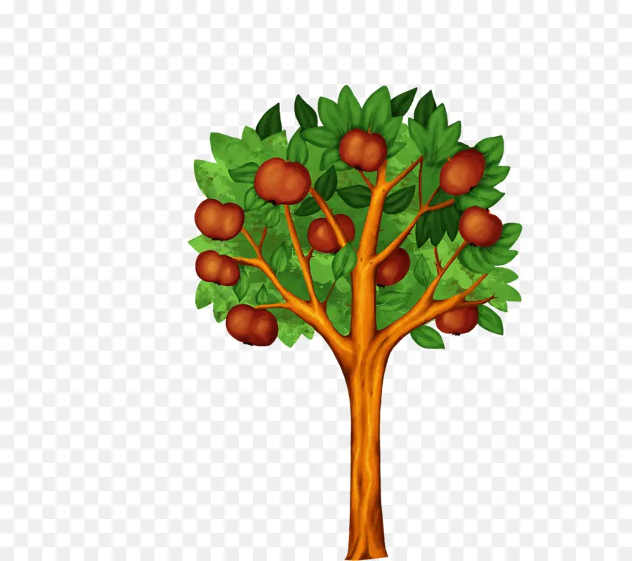 Fruta，Árbol De Frutas PNG