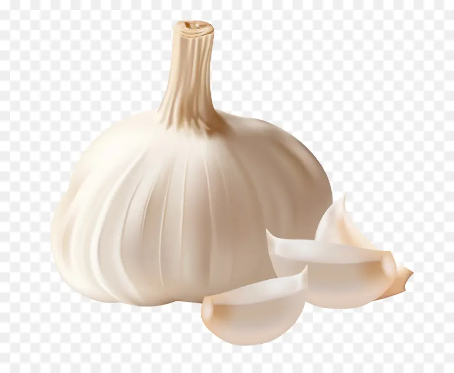 Pan De Ajo，El Ajo Nudo PNG