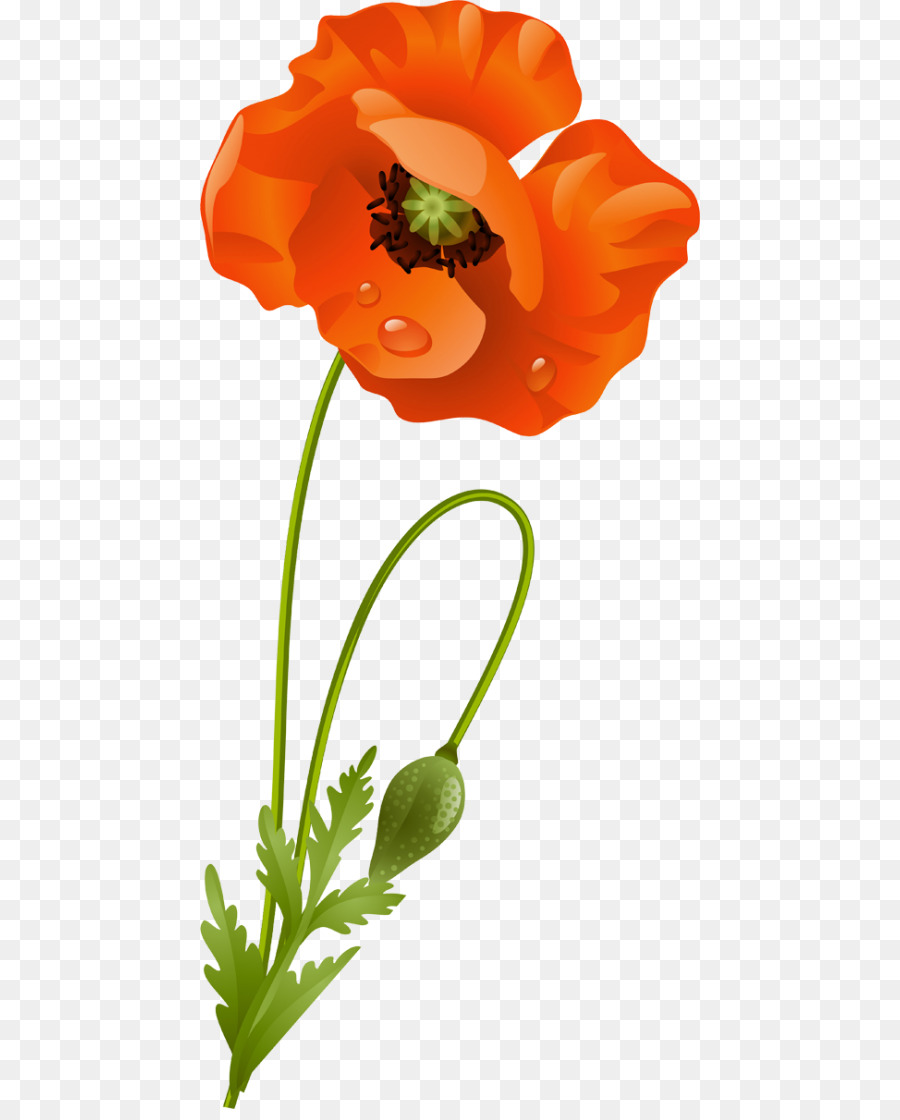 Flor，Las Imágenes De Google PNG