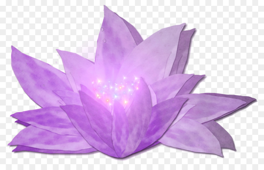 Flor De Loto，Florecer PNG