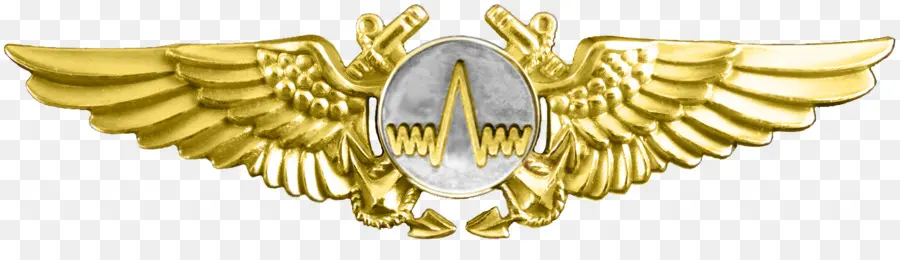 Insignia De Aviación Naval，Militar PNG