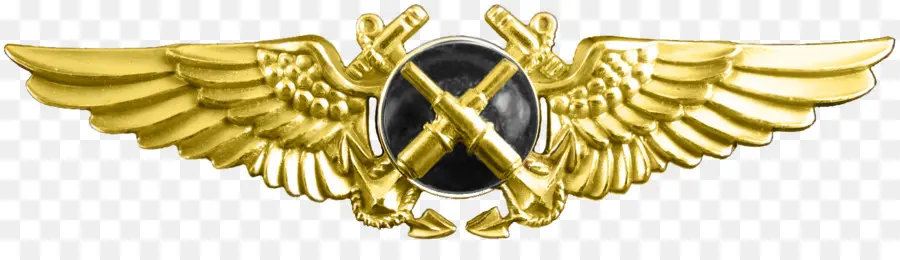 Insignia De Aviación Naval，Militar PNG