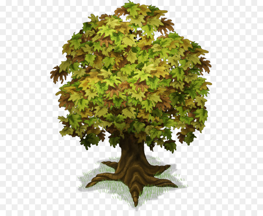 árbol，Hojas PNG