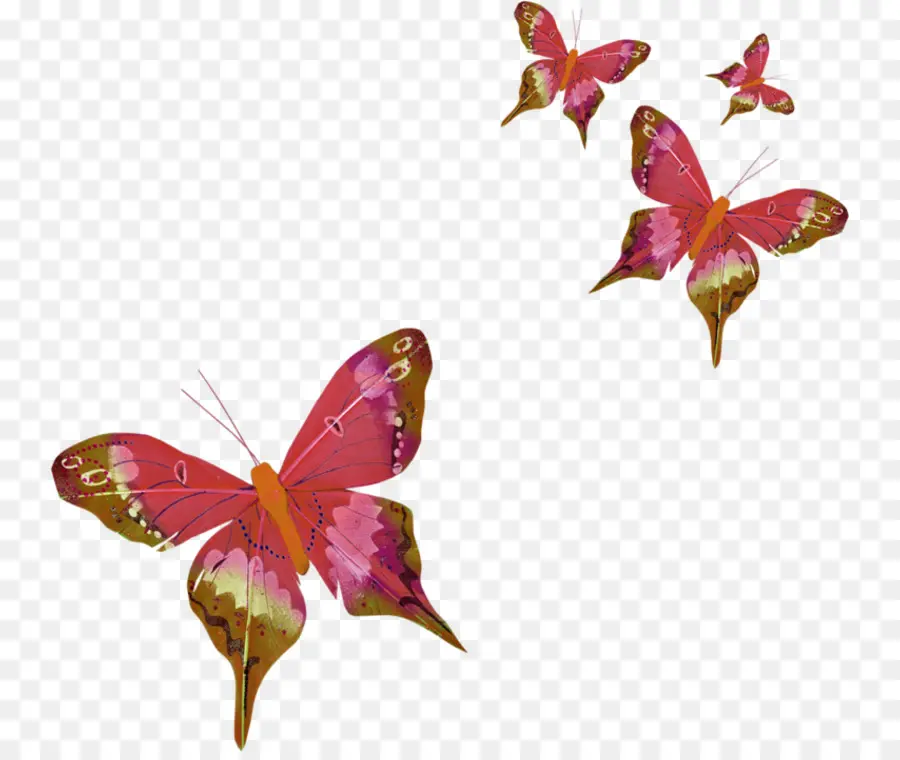 Mariposas Moradas，Vuelo PNG