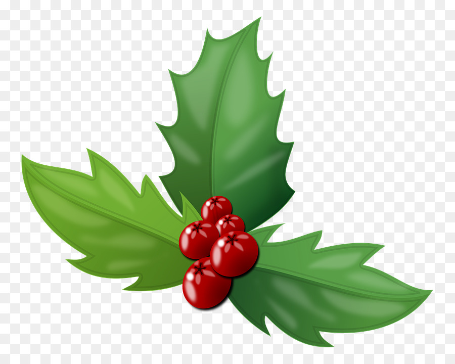 Berry，La Navidad PNG
