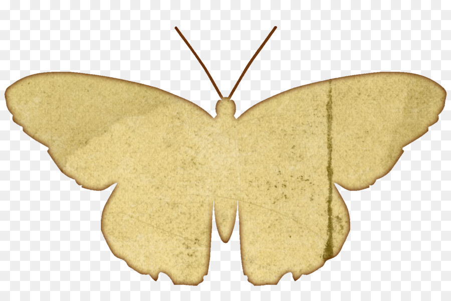 Mariposa，Papel PNG