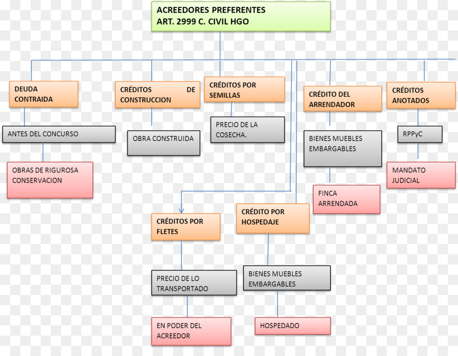 Derecho Concursal，Procedimiento Concursal PNG