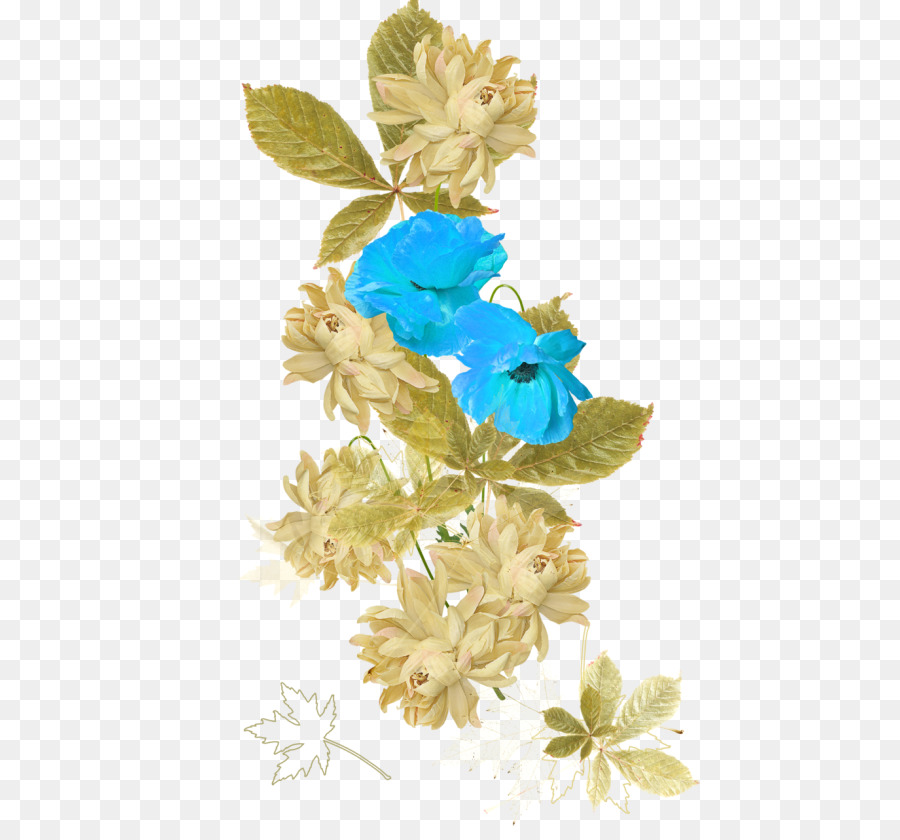 Diseño Floral，Flor PNG