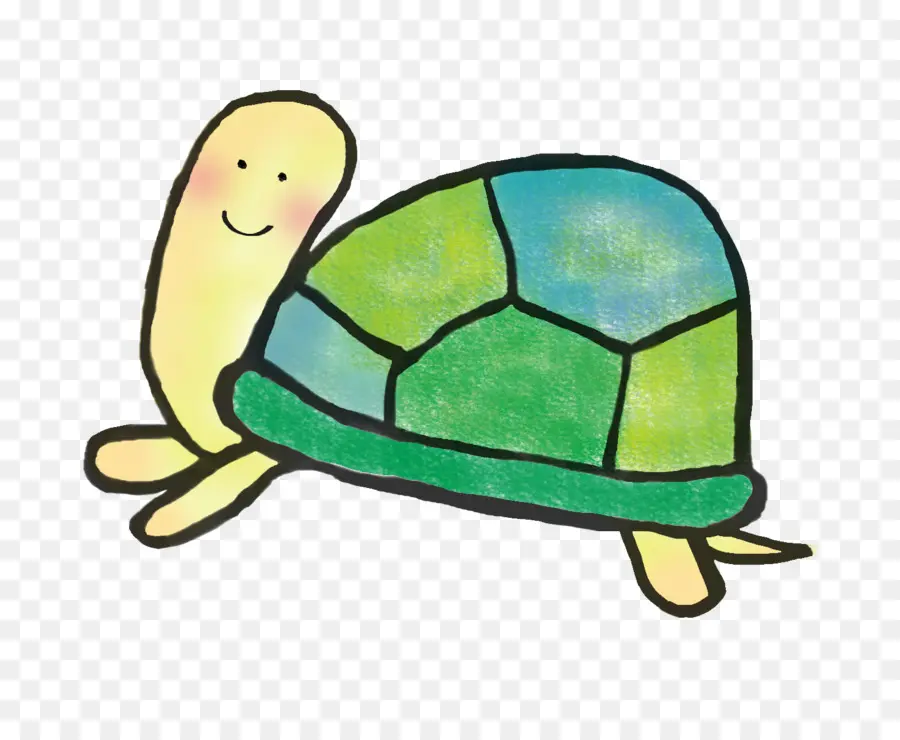 Tortuga，Reptiles PNG