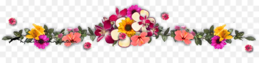 Flores，Vistoso PNG