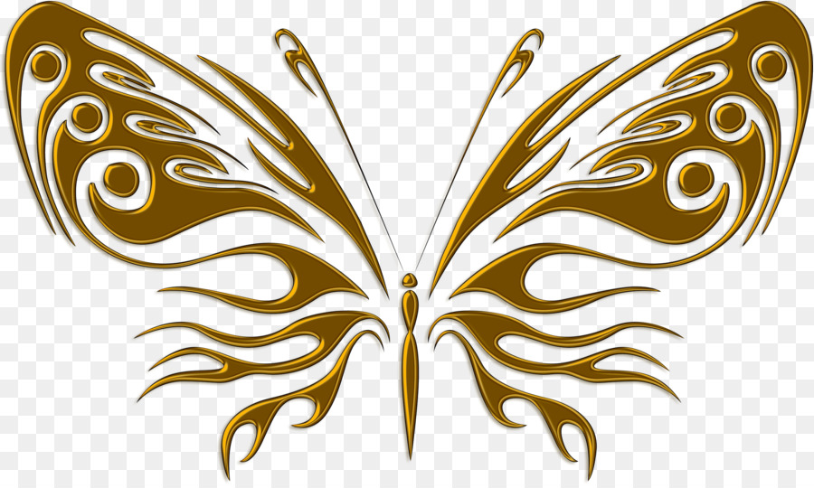 Mariposa，Polilla PNG