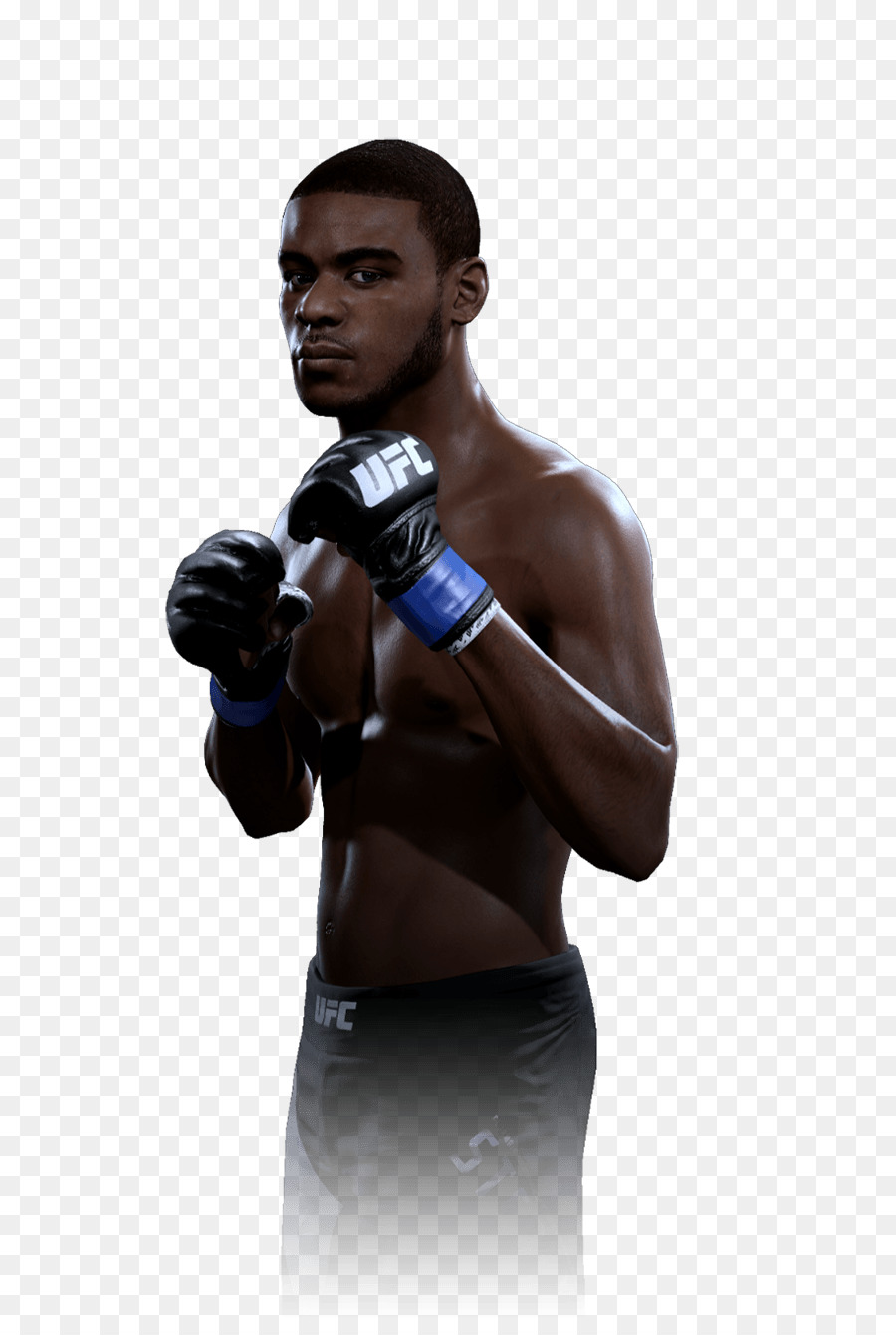 Ultimate Fighting Championship，John Lineker PNG