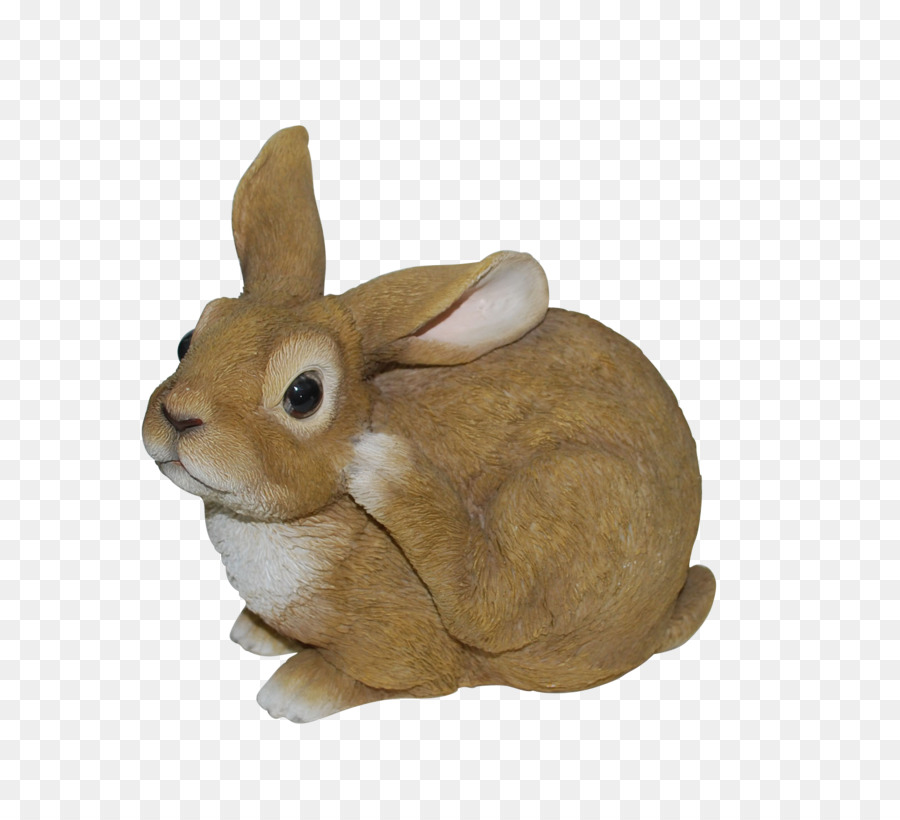 Conejo，Conejito PNG