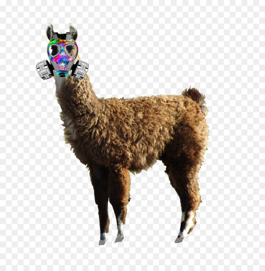 Llama，Alpaca PNG