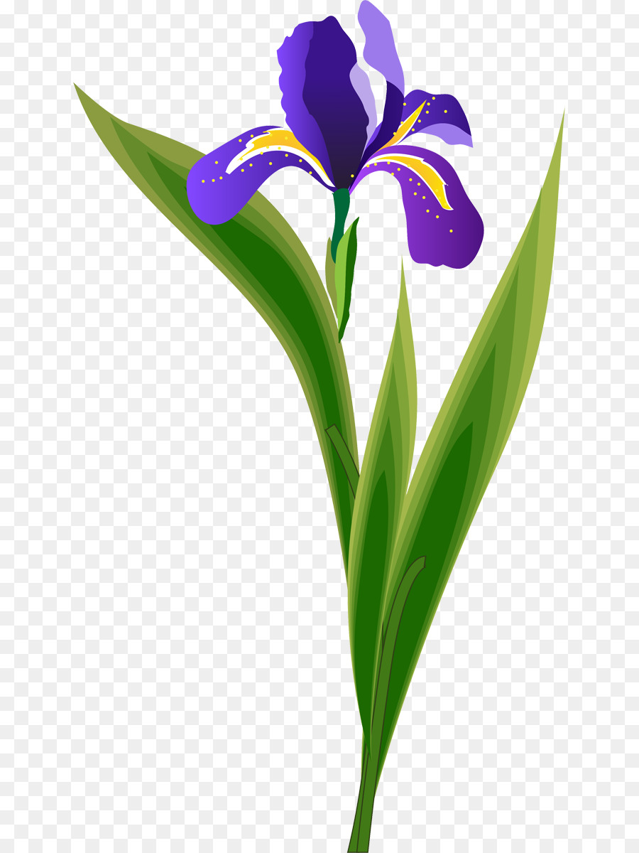 Las Flores Cortadas，Tallo De La Planta PNG