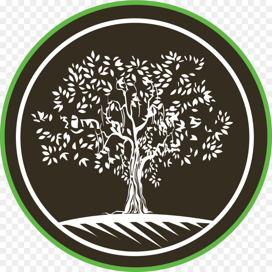 El árbol De Moringa，Logotipo PNG