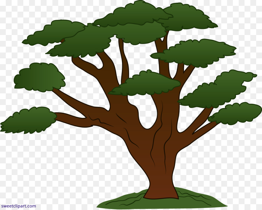 Roble，árbol PNG
