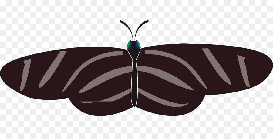 Mariposa，Heliconius Charithonia PNG