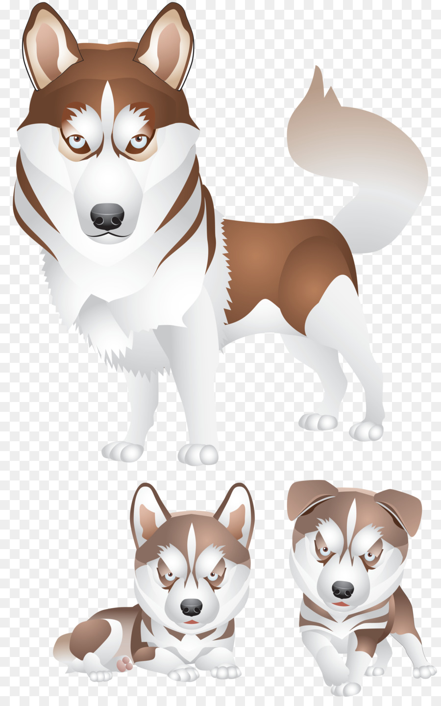 Husky Siberiano，Cachorro PNG