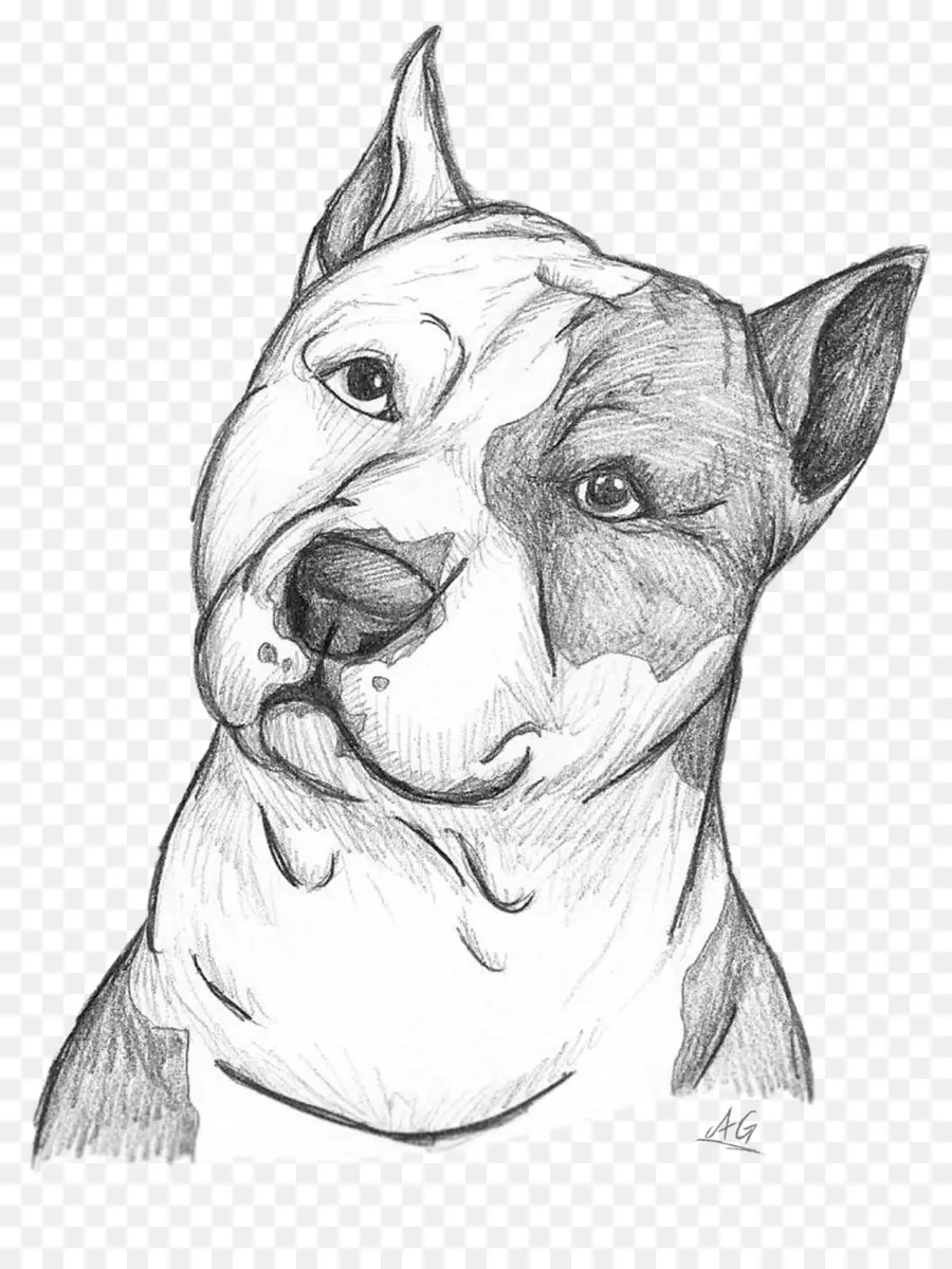 Raza De Perro，Pit Bull PNG