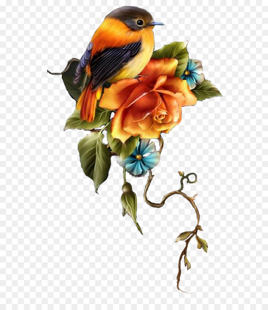 Pájaro Y Flores，Naturaleza PNG