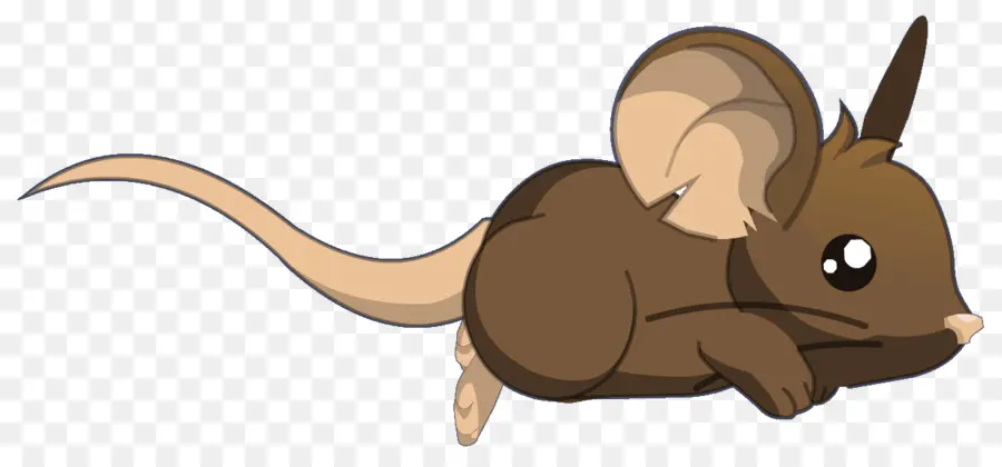 Ratón De Dibujos Animados，Animal PNG