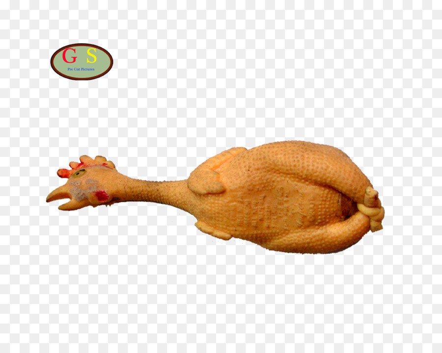 Pollo，Pájaro PNG