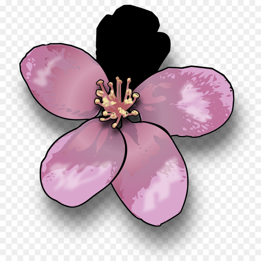 Flor，Dibujo PNG