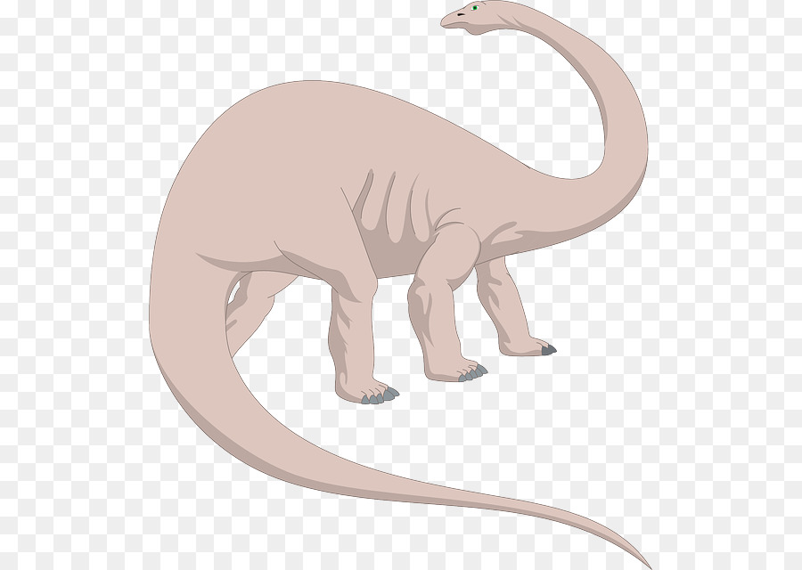 Brachiosaurus，Brontosaurus PNG