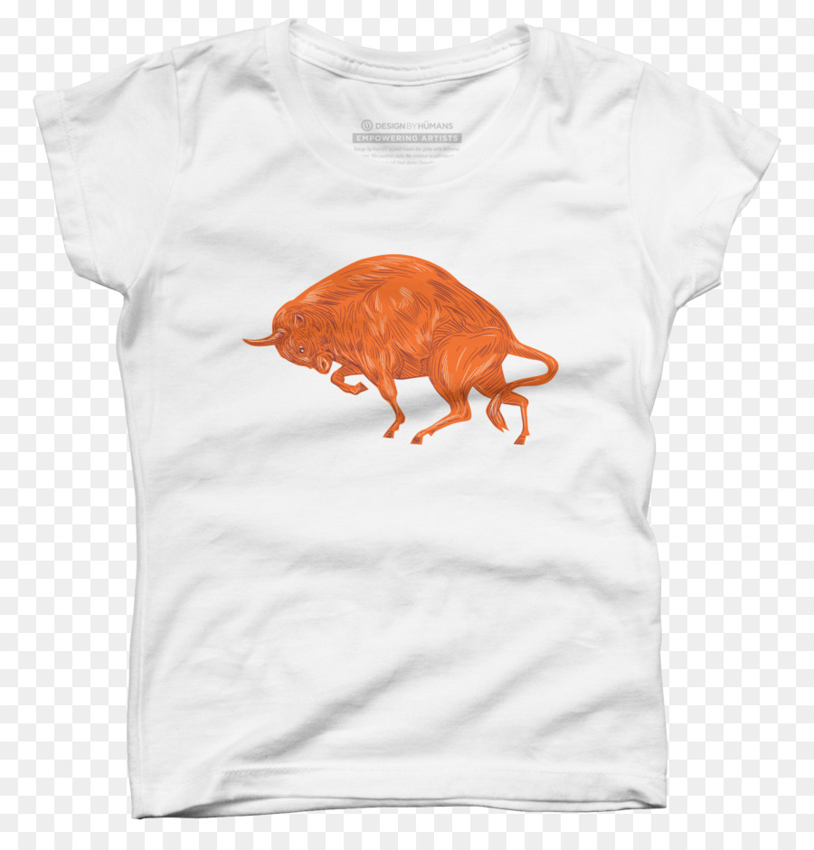 Camiseta，Ropa PNG