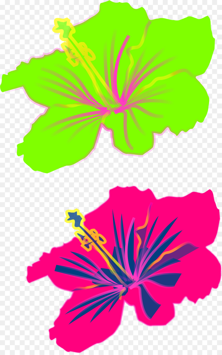 Flores De Hibisco，Verde PNG