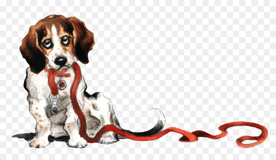 Raza De Perro，Beagle PNG