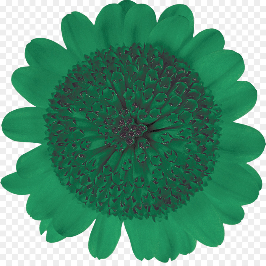 Flor，Florecer PNG