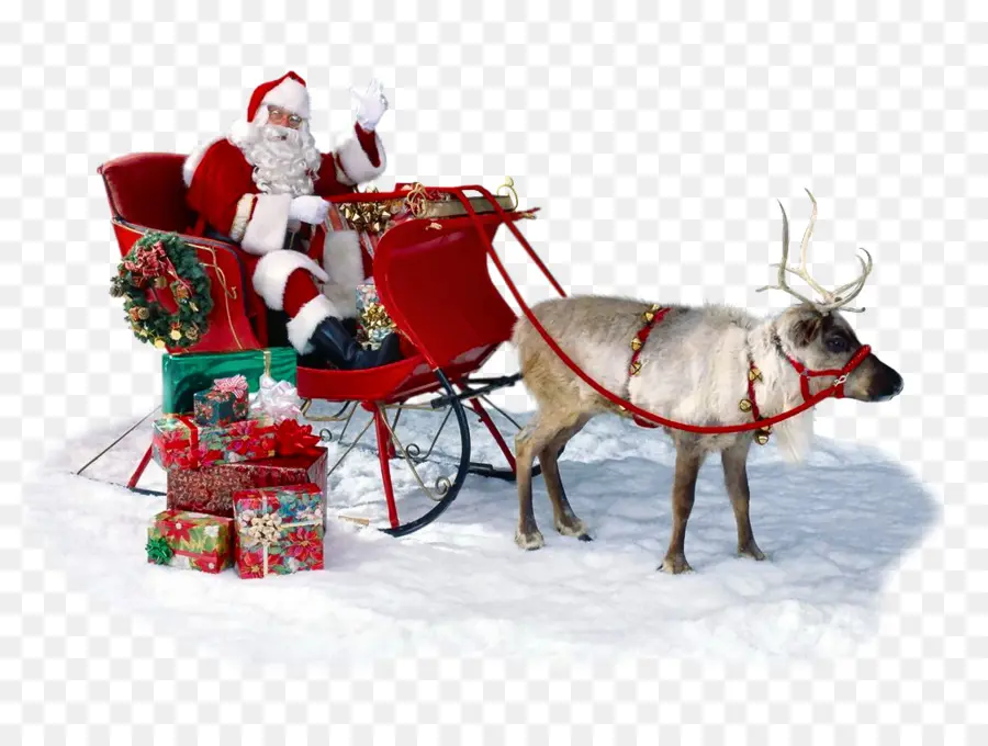 Santa Claus，Ded Moroz PNG