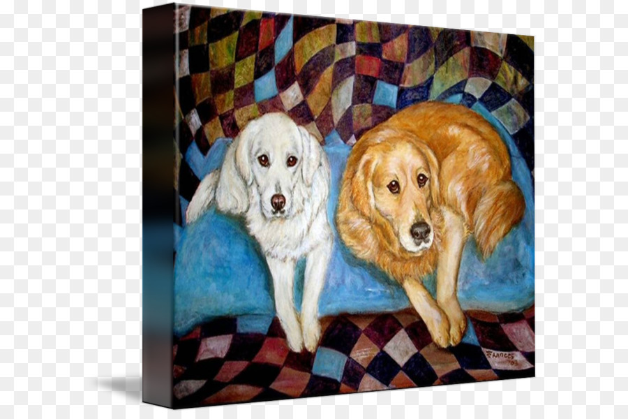 Golden Retriever，Labrador Retriever PNG