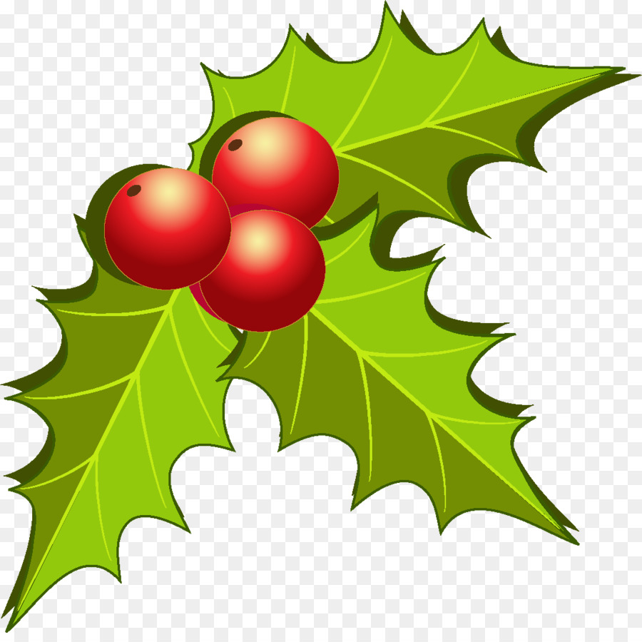 Fruta，Navidad PNG