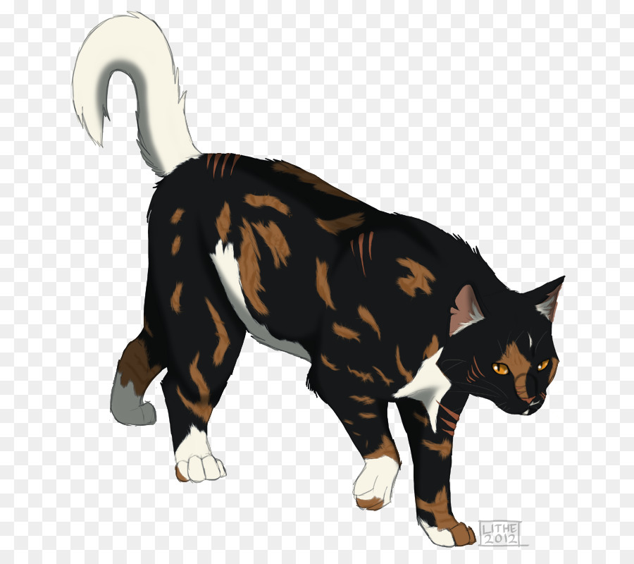 Gato，Mascota PNG