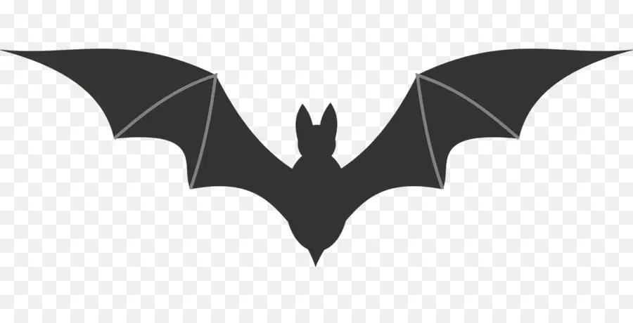 Bat，Dibujo PNG