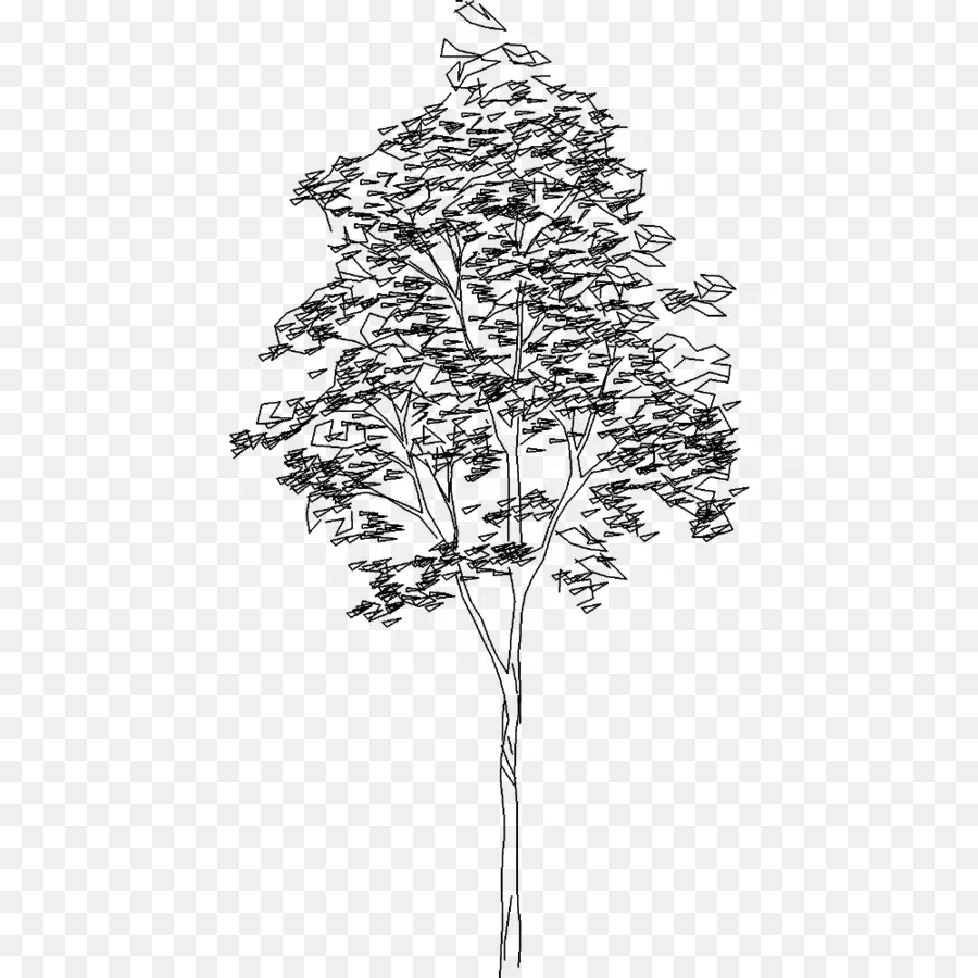 Árbol，Hojas PNG