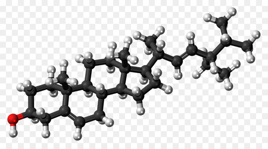 El Colesterol，La Lipoproteína De Alta Densidad PNG