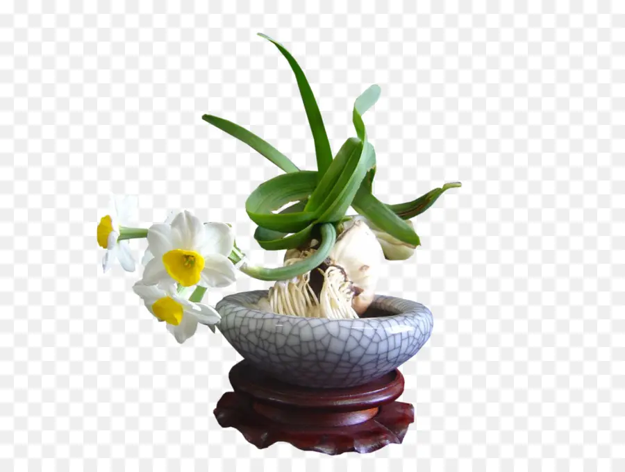 Florero，Fondo De Escritorio PNG