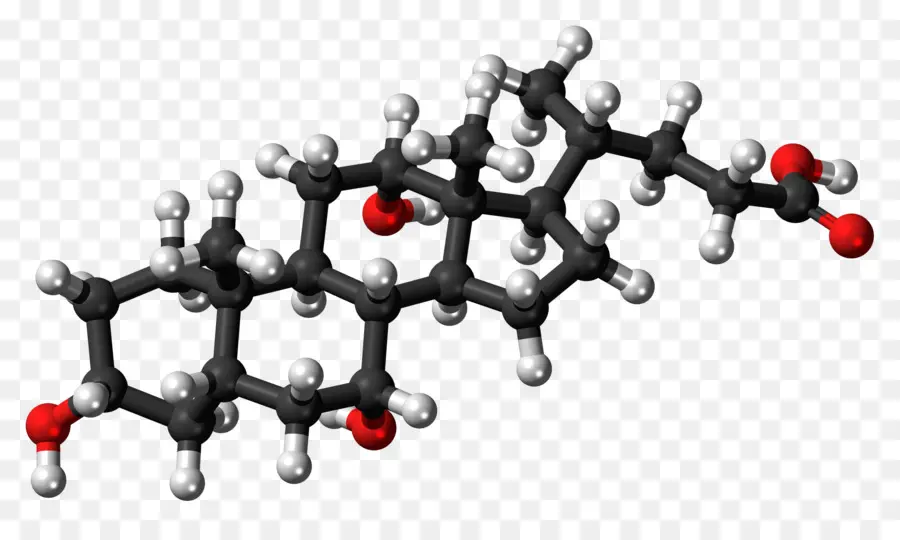 El Colesterol，La Lipoproteína De Alta Densidad PNG