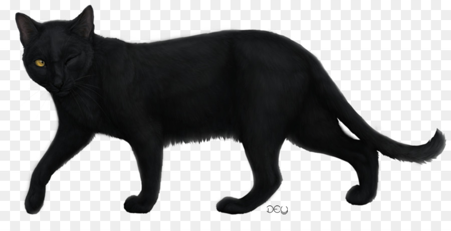 Gato Negro，Bombay Gato PNG